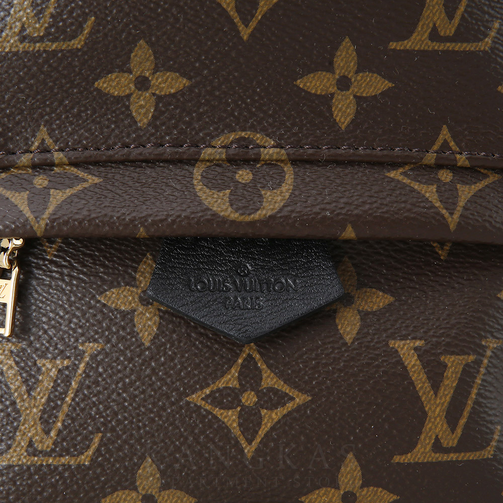 LOUIS VUITTON(USED)루이비통 팜 스프링스 미니 백팩